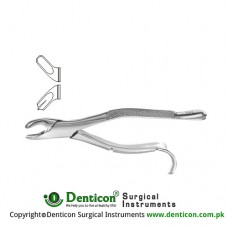 Harris American Pattern Tooth Extracting Forcep Fig. 18R (For Upper Right Molars) Stainless Steel, Standard